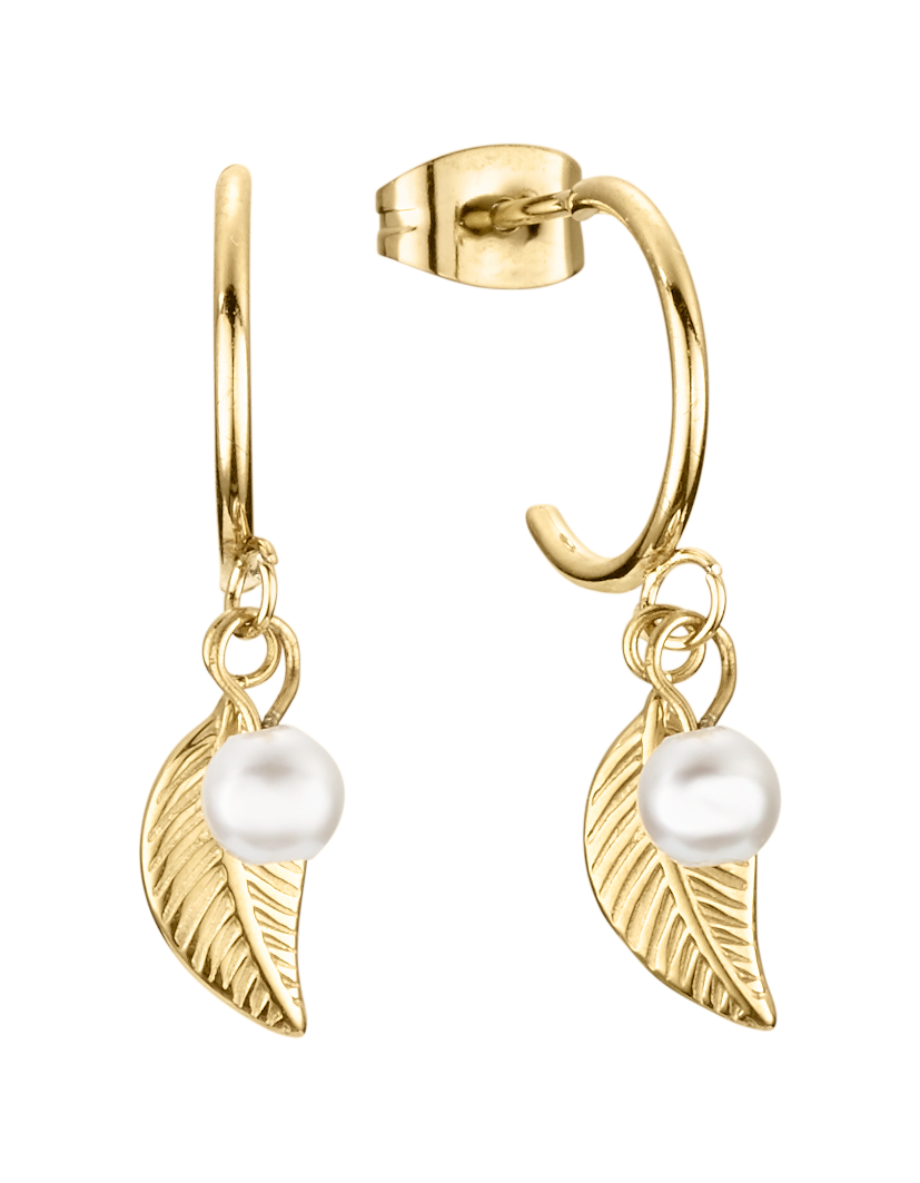 DORTMUND ØRESTIKKER