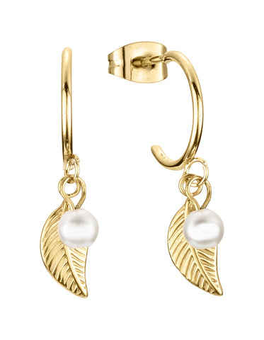 DORTMUND ØRESTIKKER